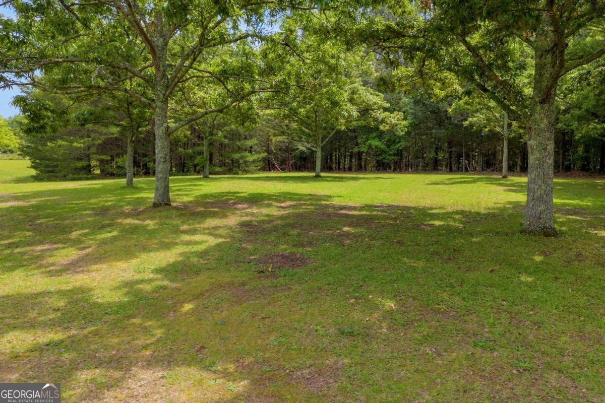 5180 Price Mill Road Bishop - 37