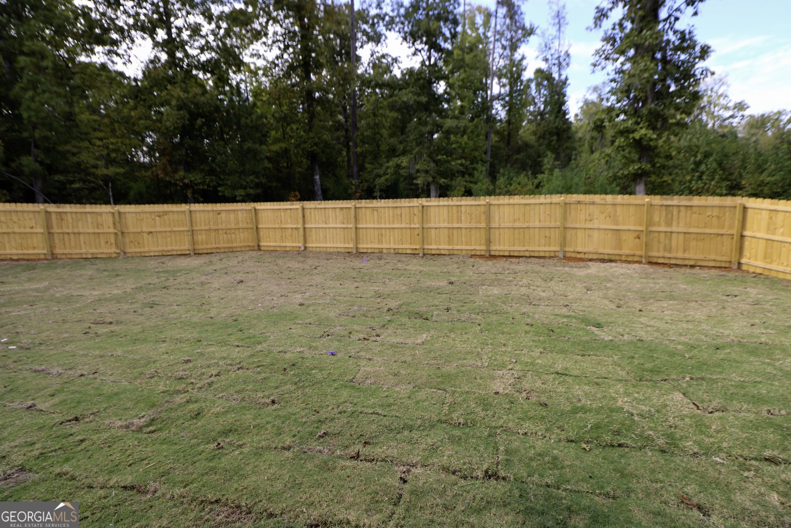 113 Sutter Butte Place Bonaire - 44