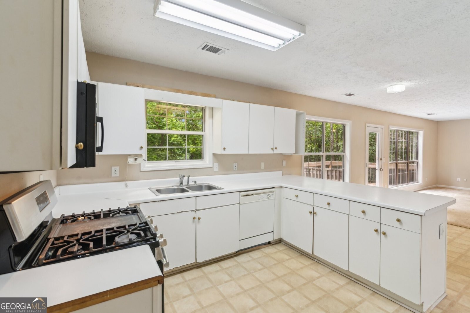 111 Trellis Court Acworth - 11