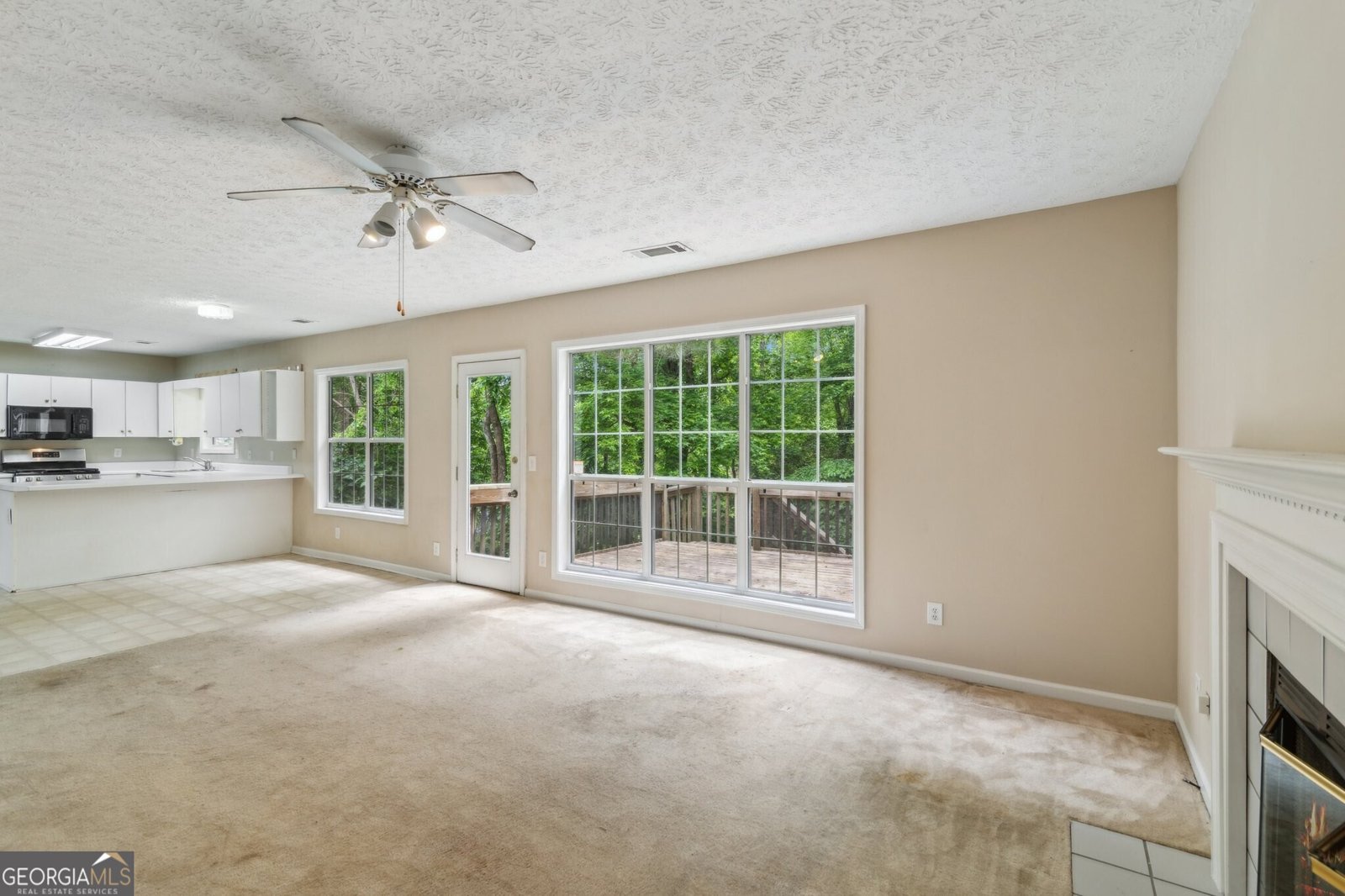 111 Trellis Court Acworth - 16