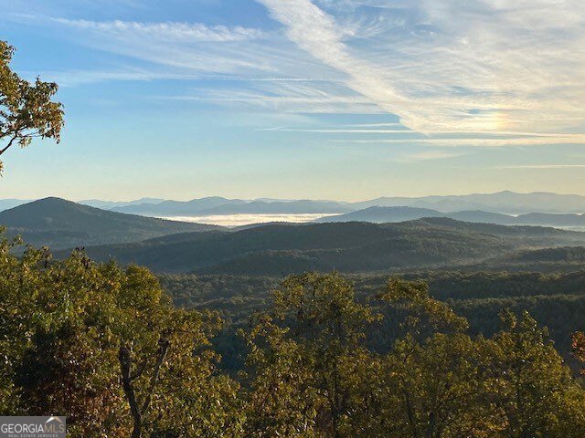 220 Eagle Ridge Morganton - 2