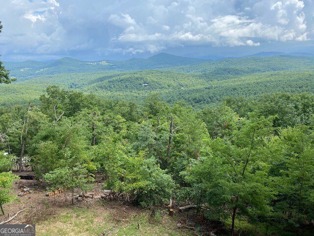 220 Eagle Ridge Morganton - 3