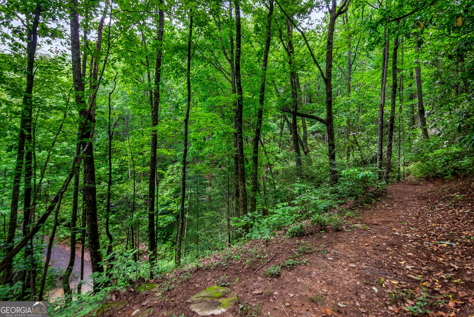 338 Canter Court Ellijay - 30