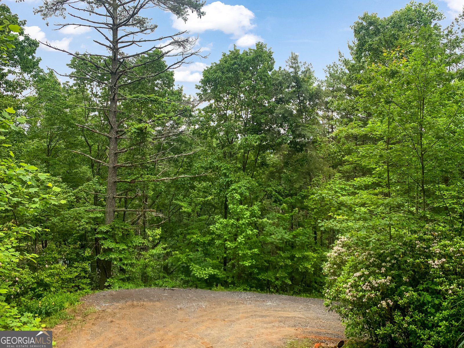 338 Canter Court Ellijay - 37