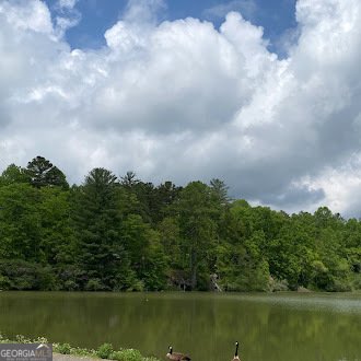338 Canter Court Ellijay - 40