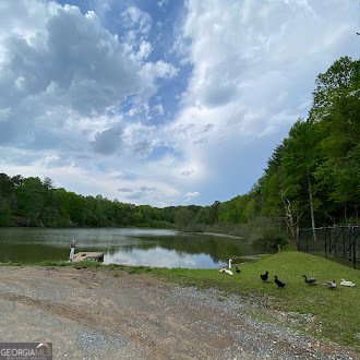 338 Canter Court Ellijay - 42