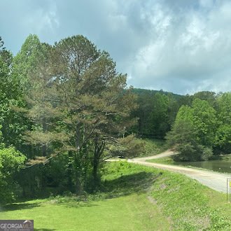 338 Canter Court Ellijay - 44