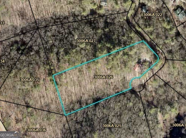 338 Canter Court Ellijay - 46