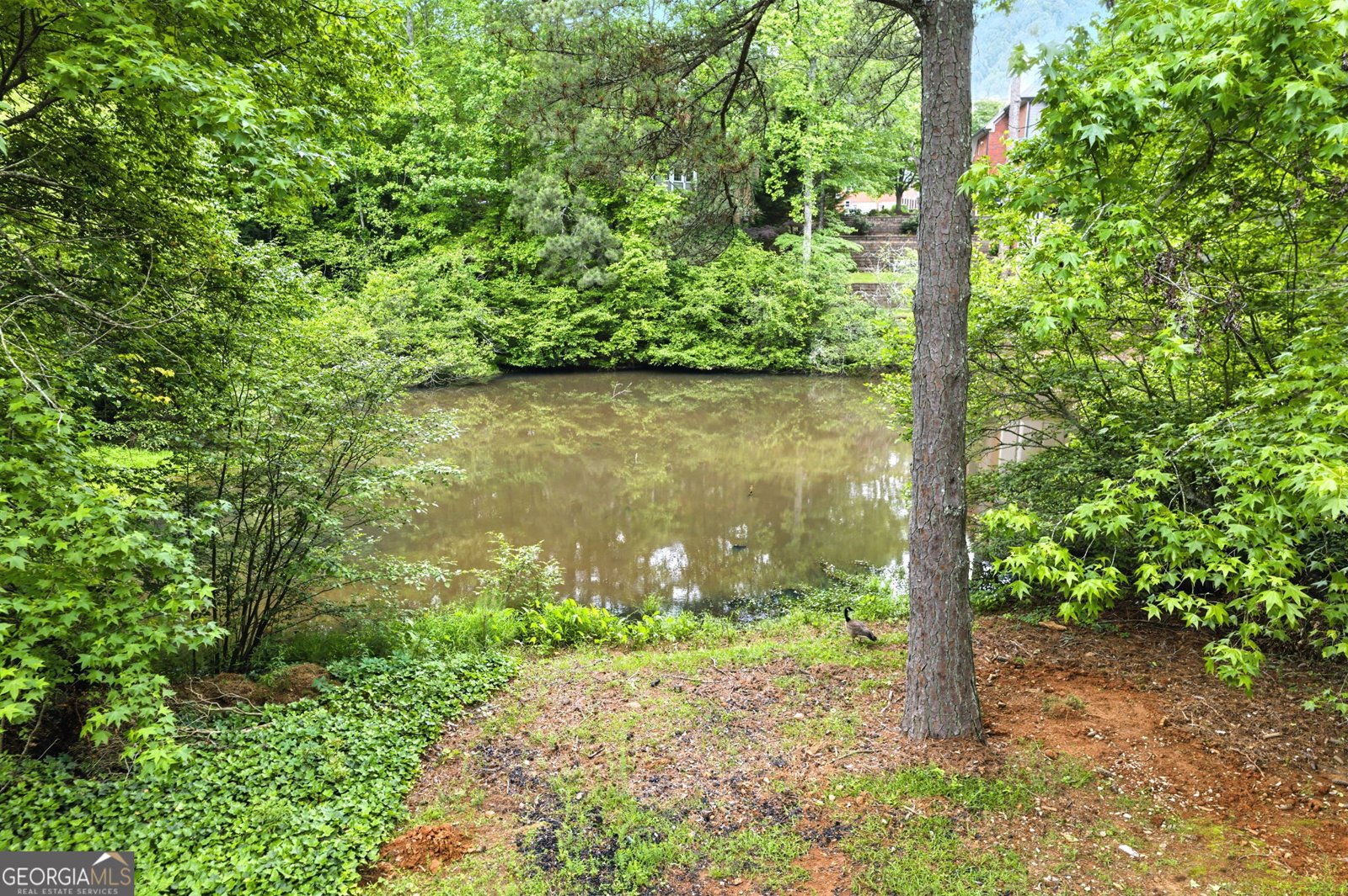 12230 Asbury Park Drive Roswell - 78