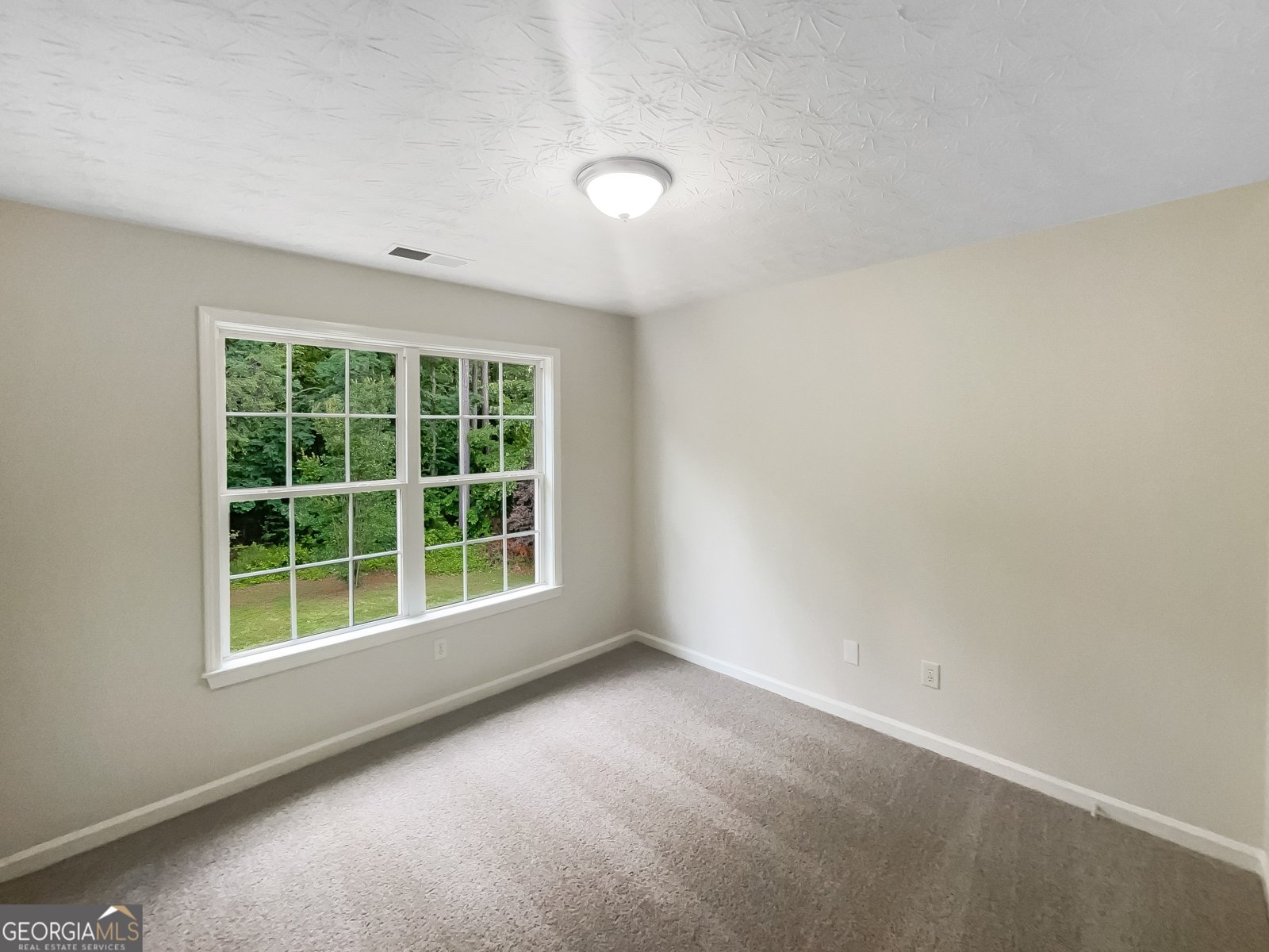 834 Winding Grove Lane Loganville - 9