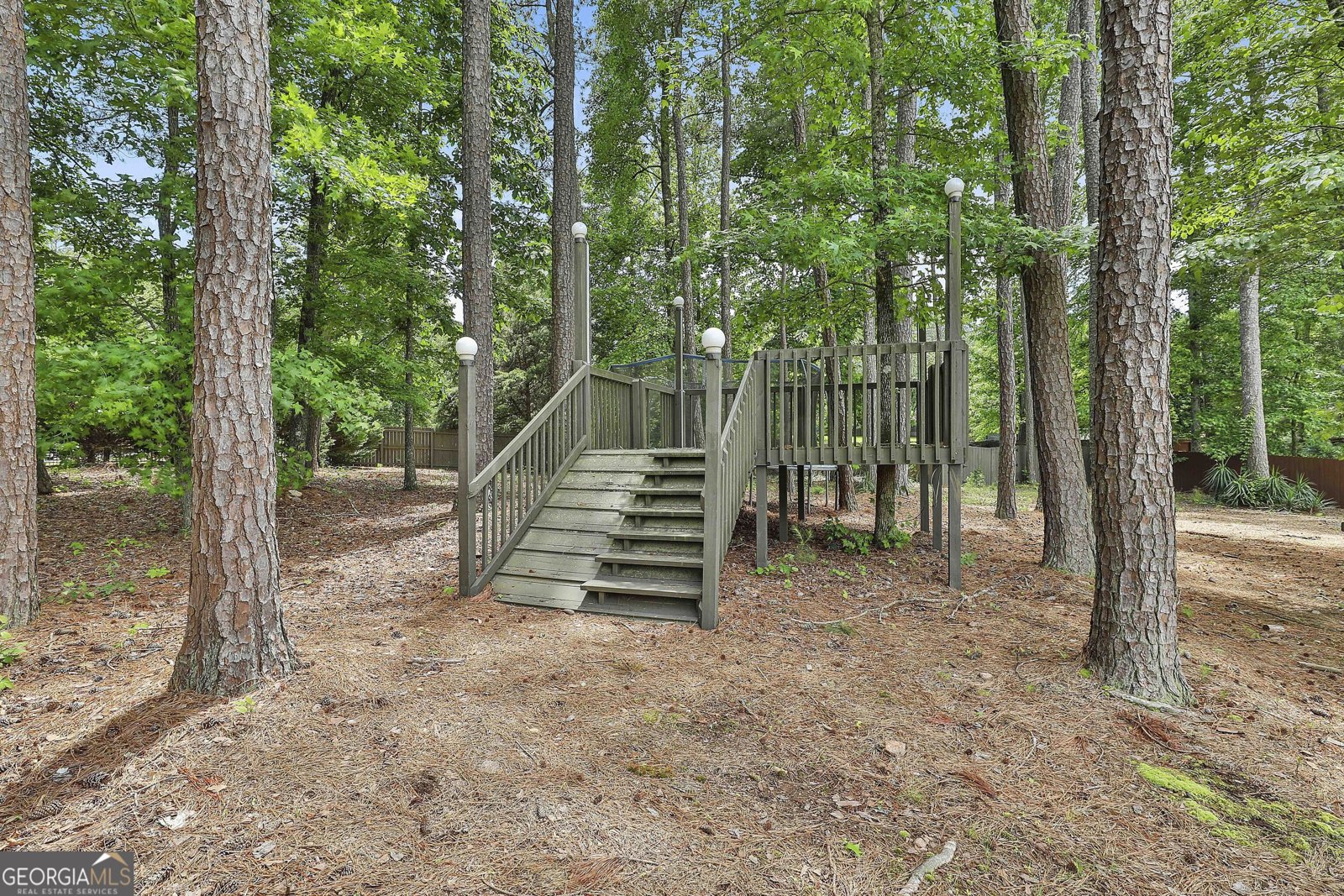 101 Sumner Place Court Peachtree City - 56