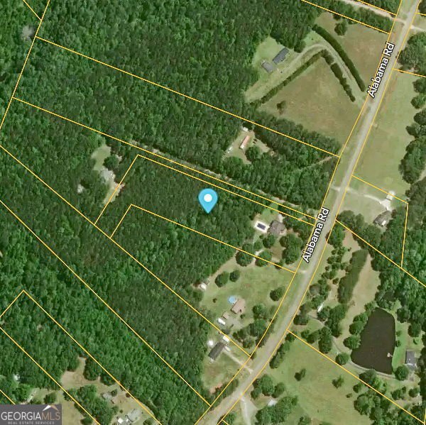 1324 Alabama Road Meansville - 55