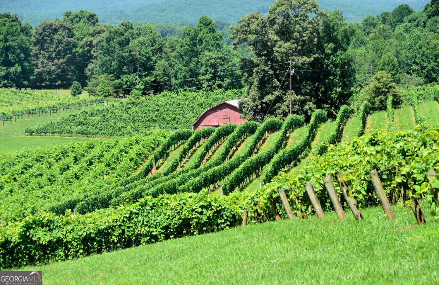 564 Ridge Road Dawsonville - 34