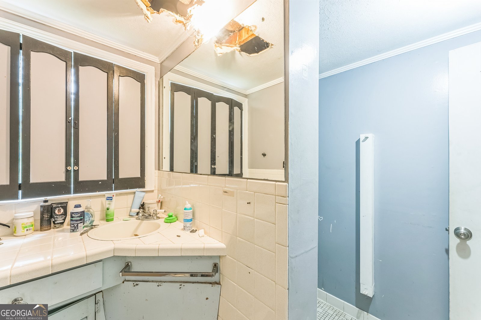 180 Greenwood Drive Carrollton - 21
