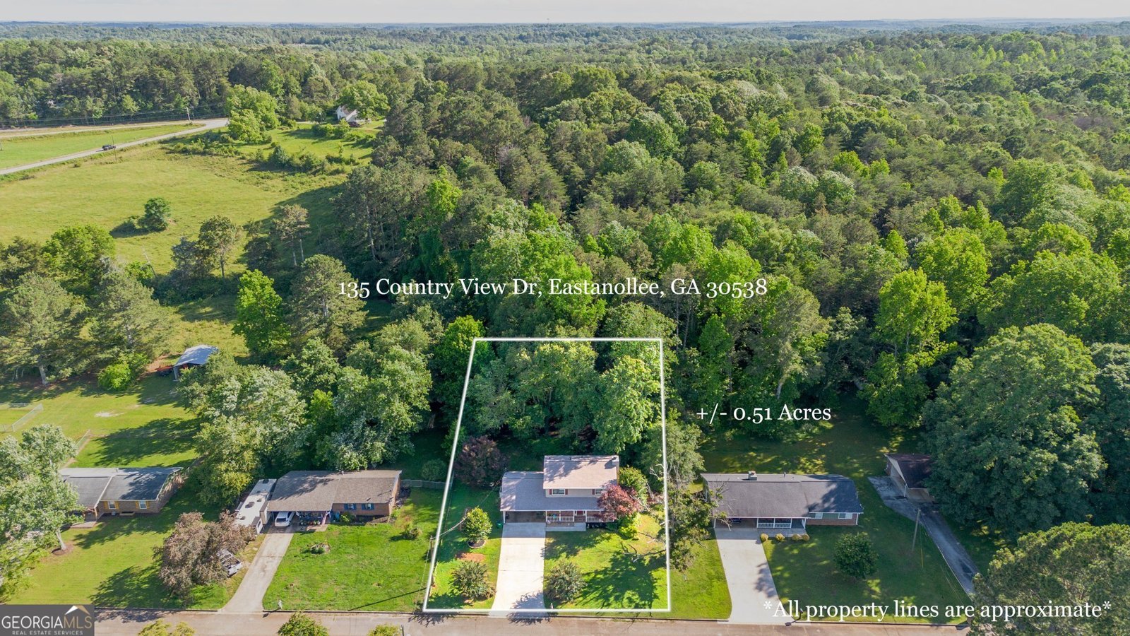 135 Country View Drive Eastanollee - 4