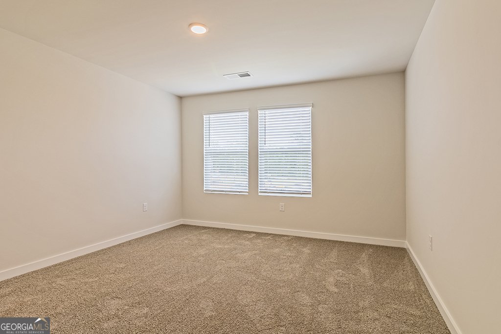 250 Crabapple Road McDonough - 18