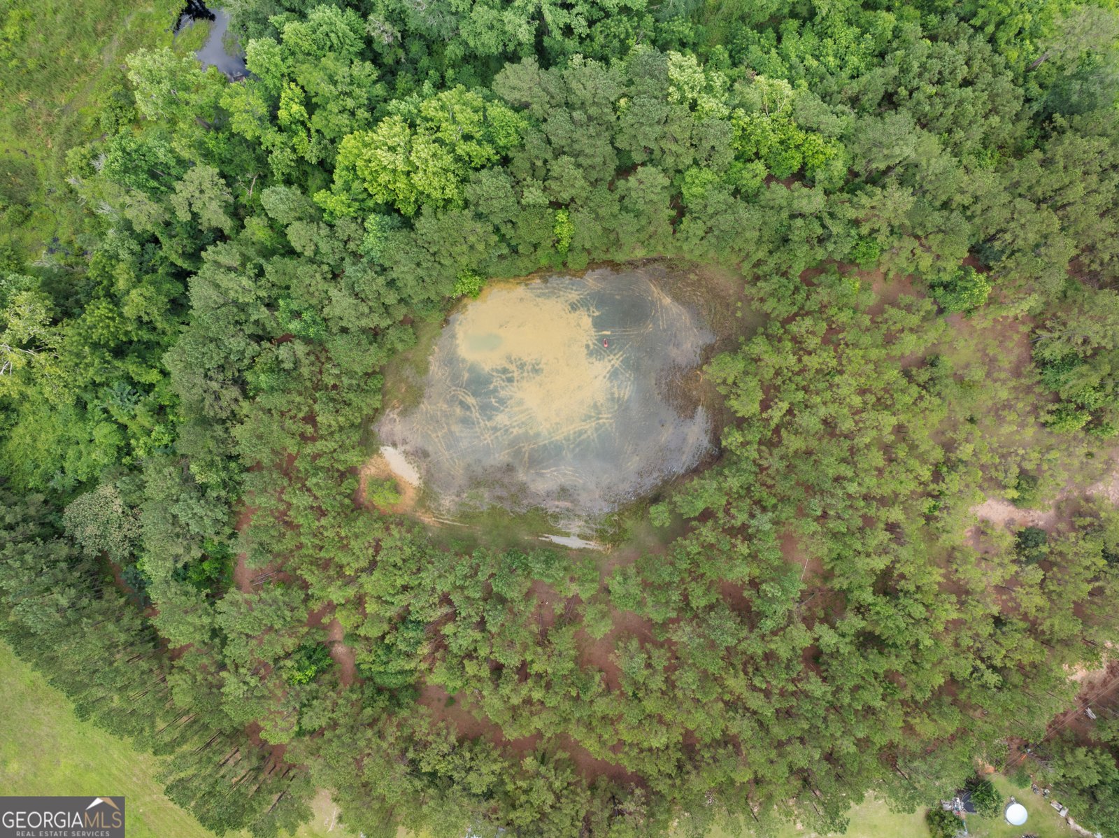 3940 Stilson Leefield Road Brooklet - 11