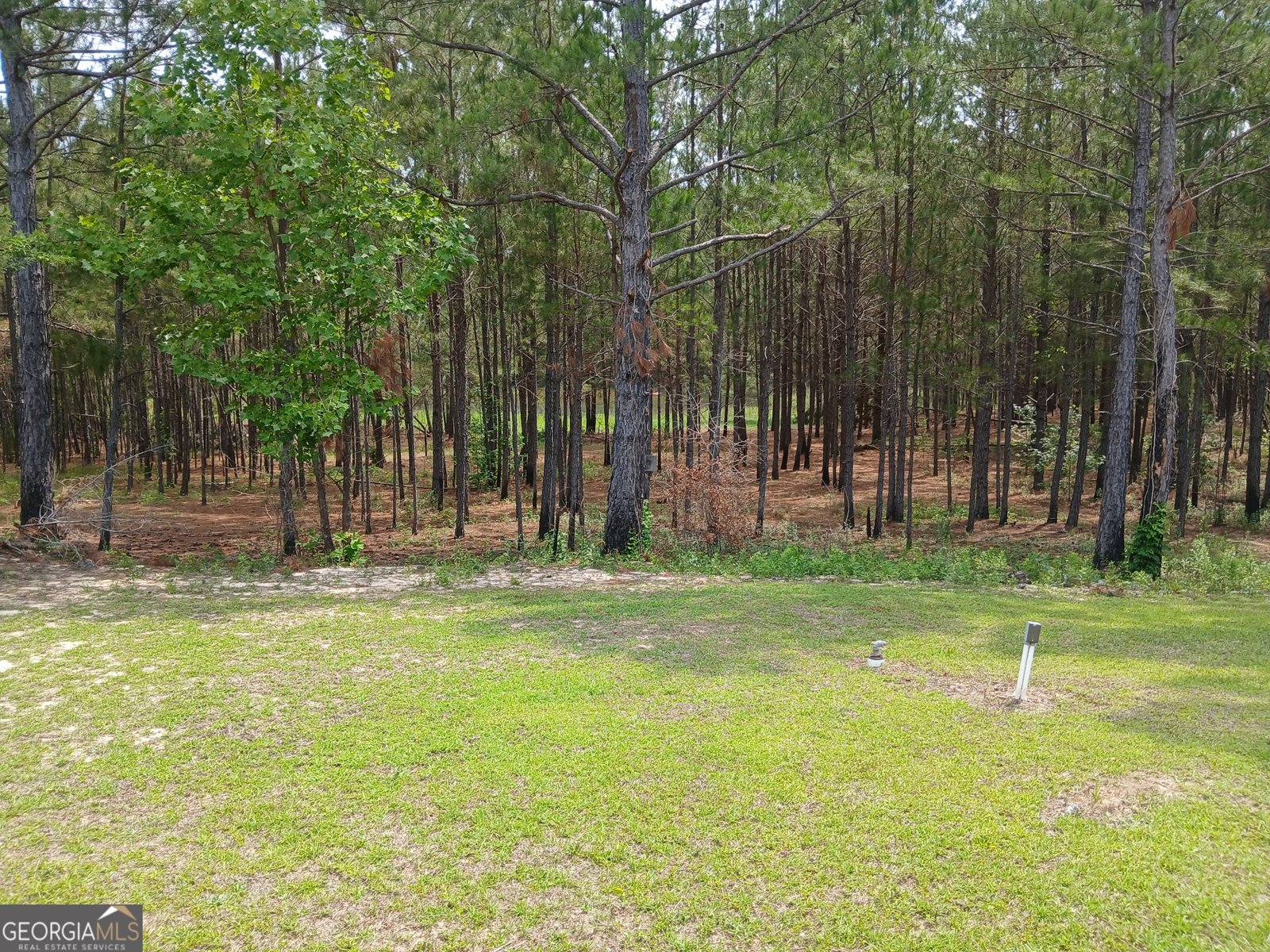3940 Stilson Leefield Road Brooklet - 23