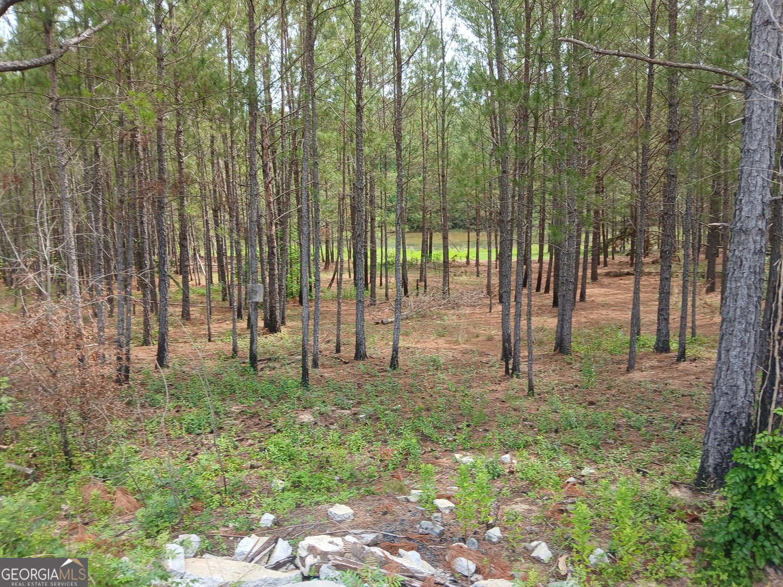 3940 Stilson Leefield Road Brooklet - 24