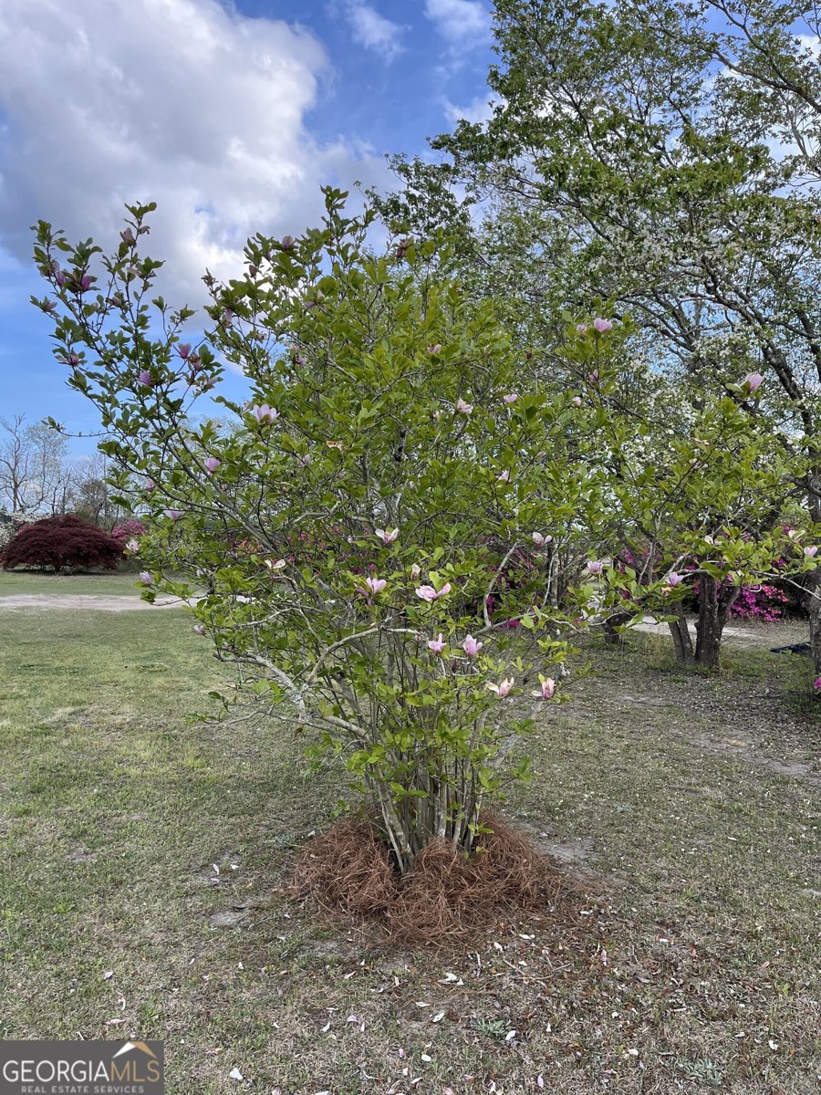 3940 Stilson Leefield Road Brooklet - 28