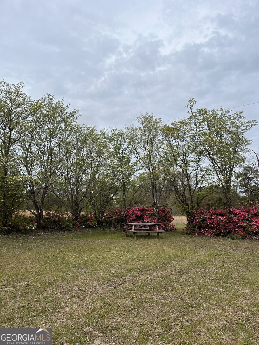 3940 Stilson Leefield Road Brooklet - 30
