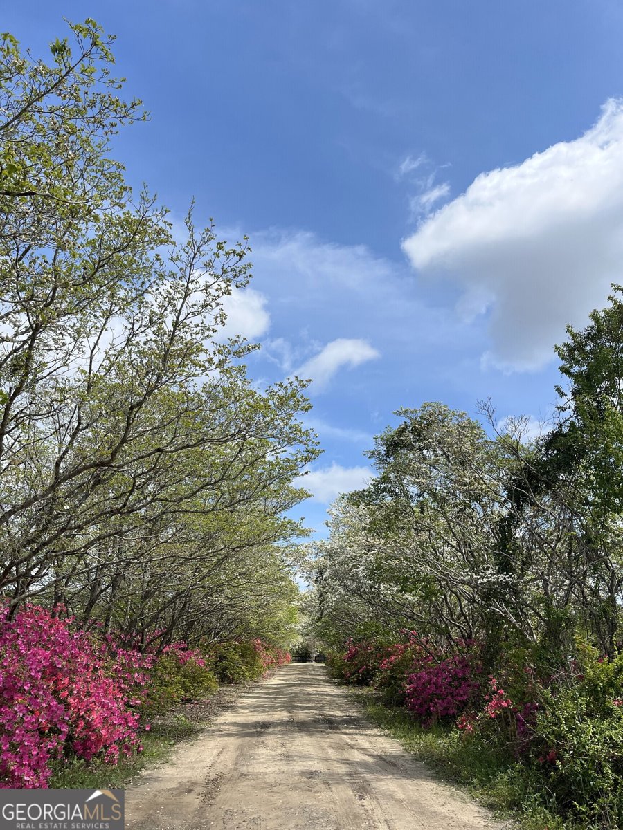 3940 Stilson Leefield Road Brooklet - 32