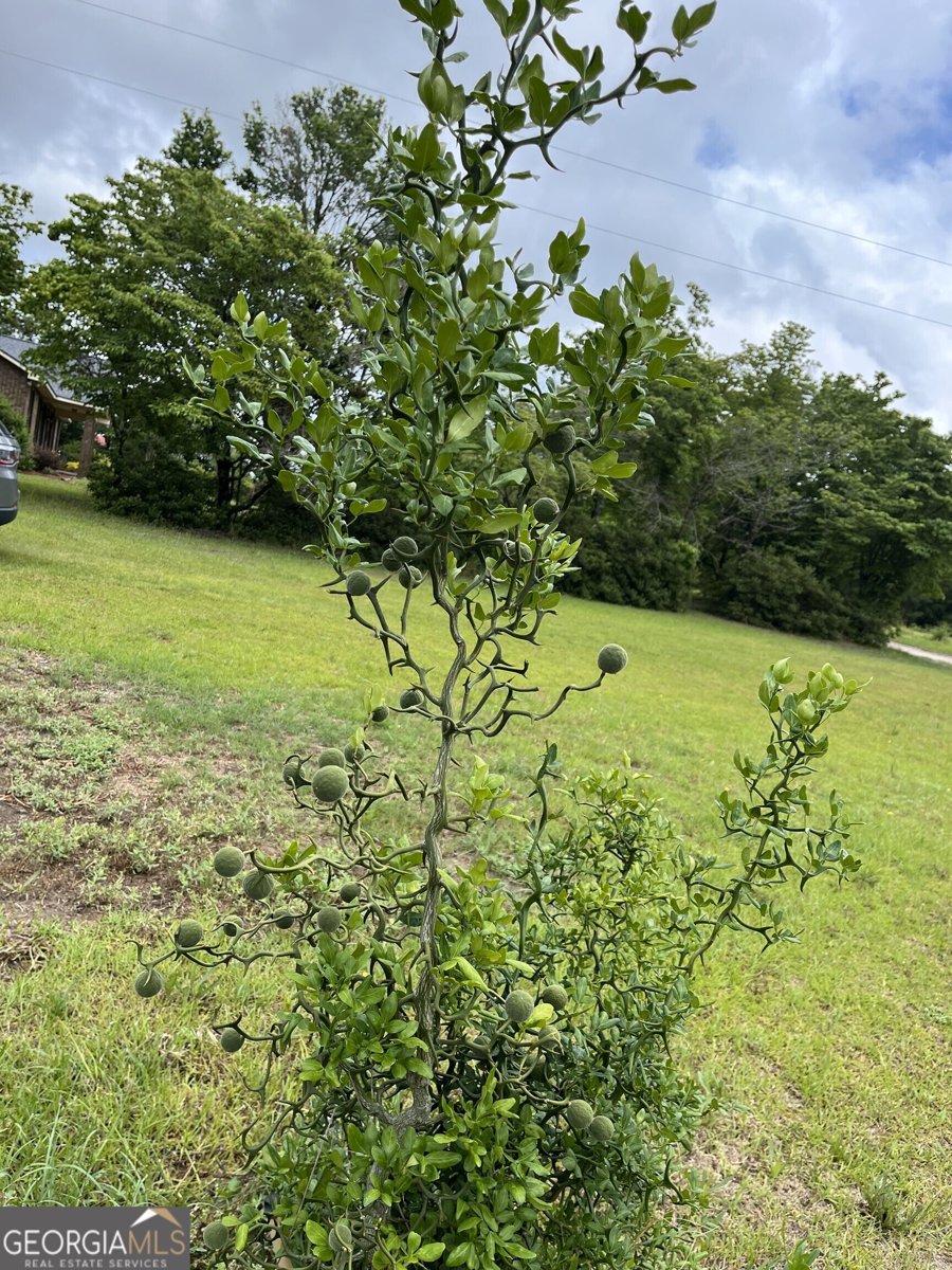 3940 Stilson Leefield Road Brooklet - 34