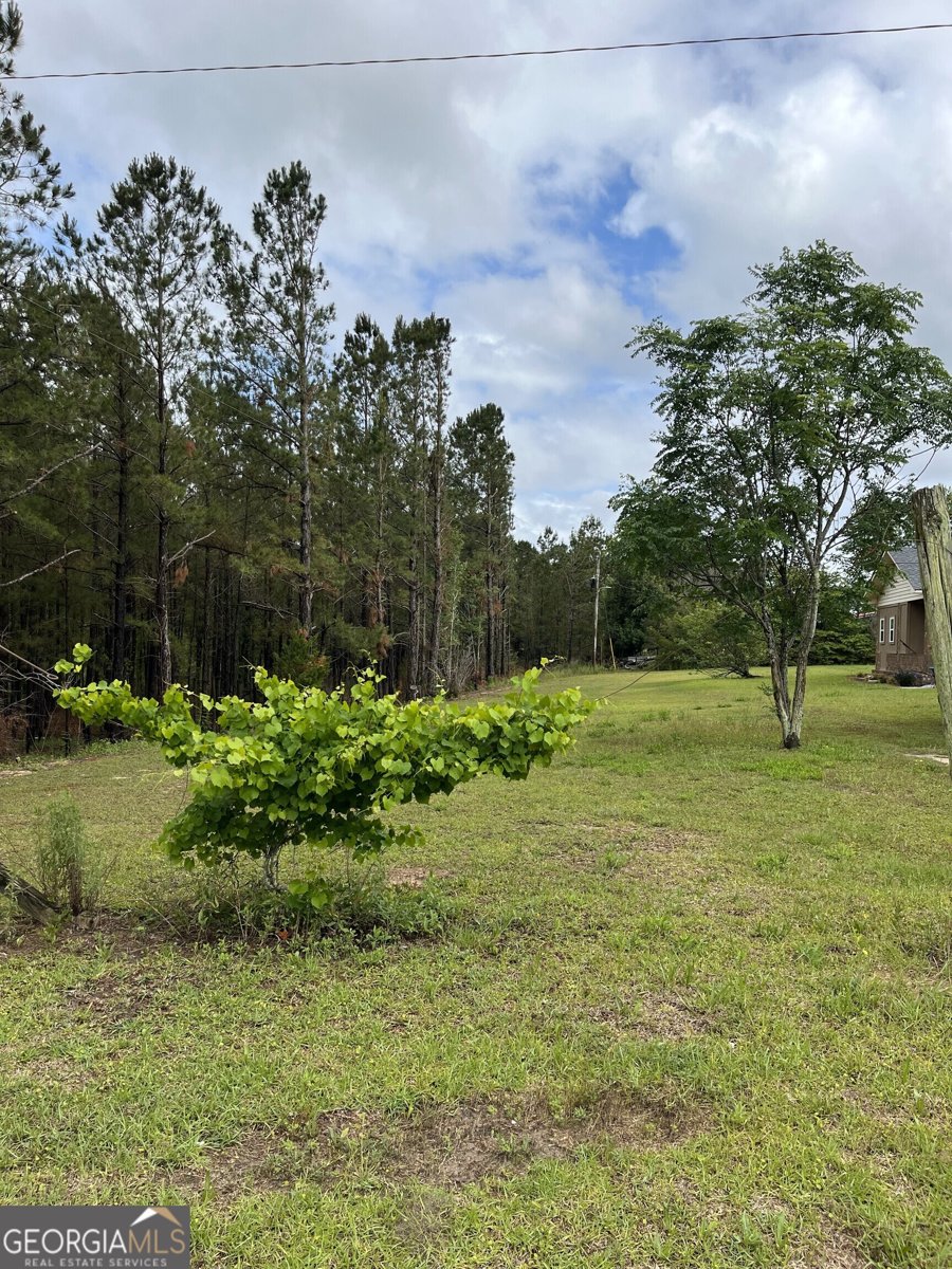 3940 Stilson Leefield Road Brooklet - 35