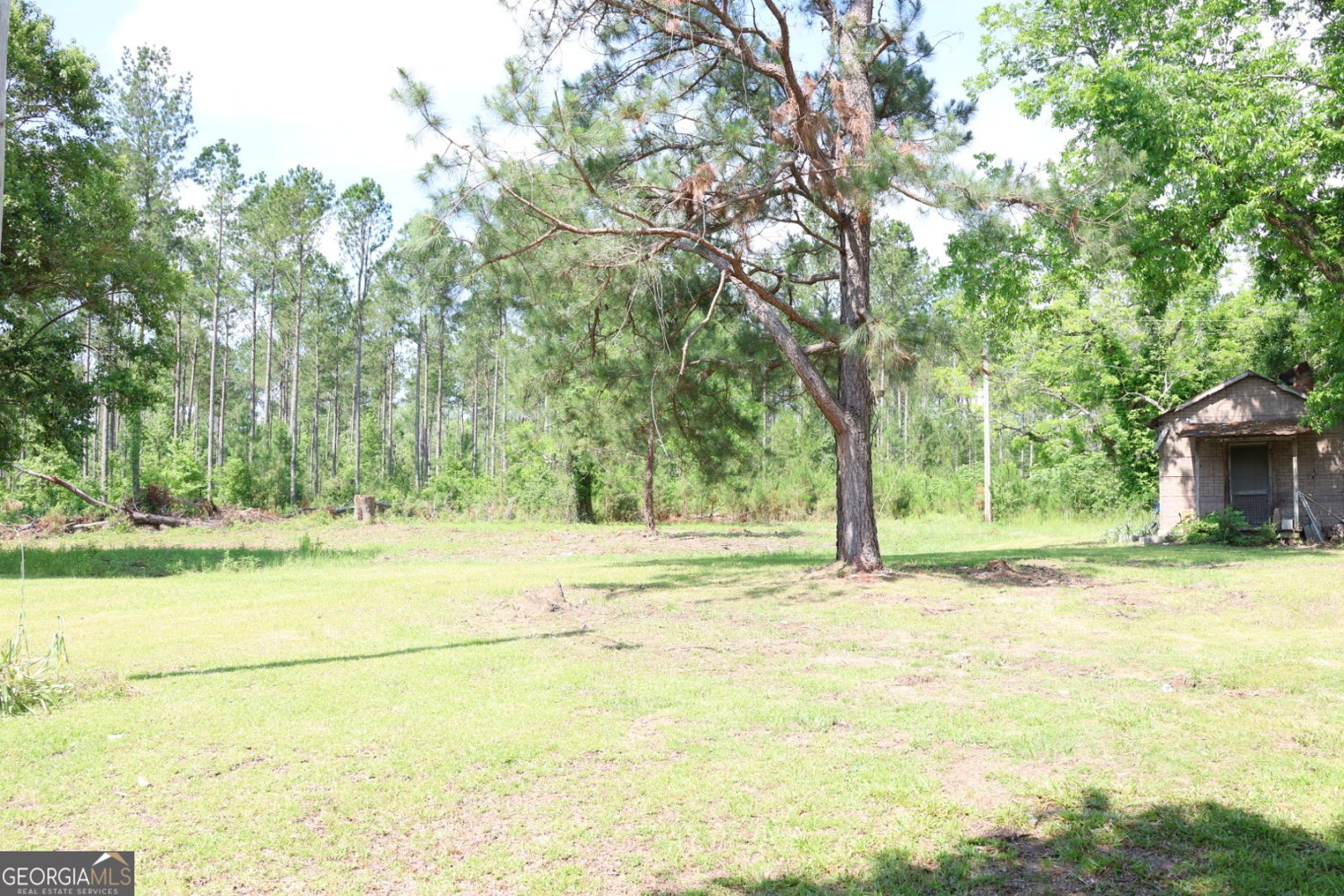 3276 Perkins Hiltonia Road Millen - 6