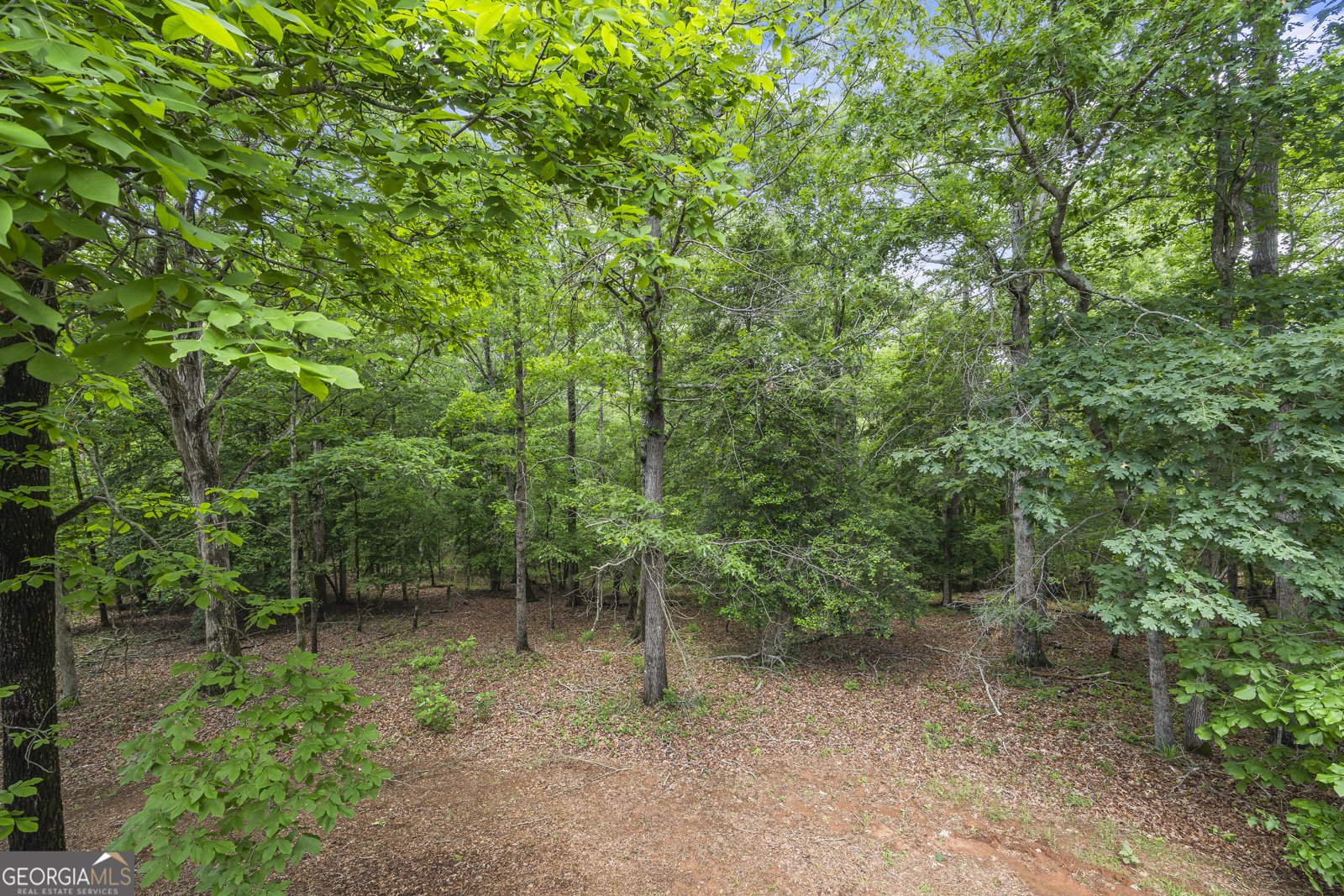 1112 Reno Road Royston - 71