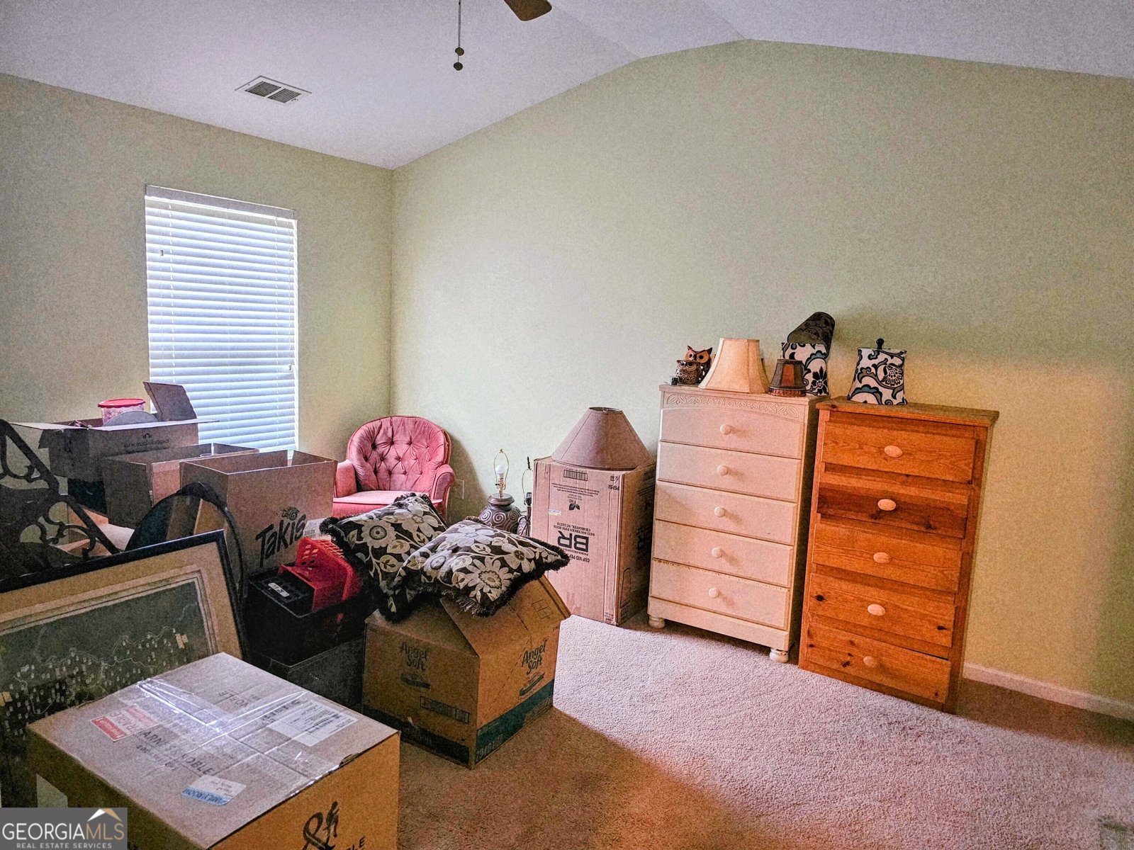 198 Red Hawk Drive Dawsonville - 41