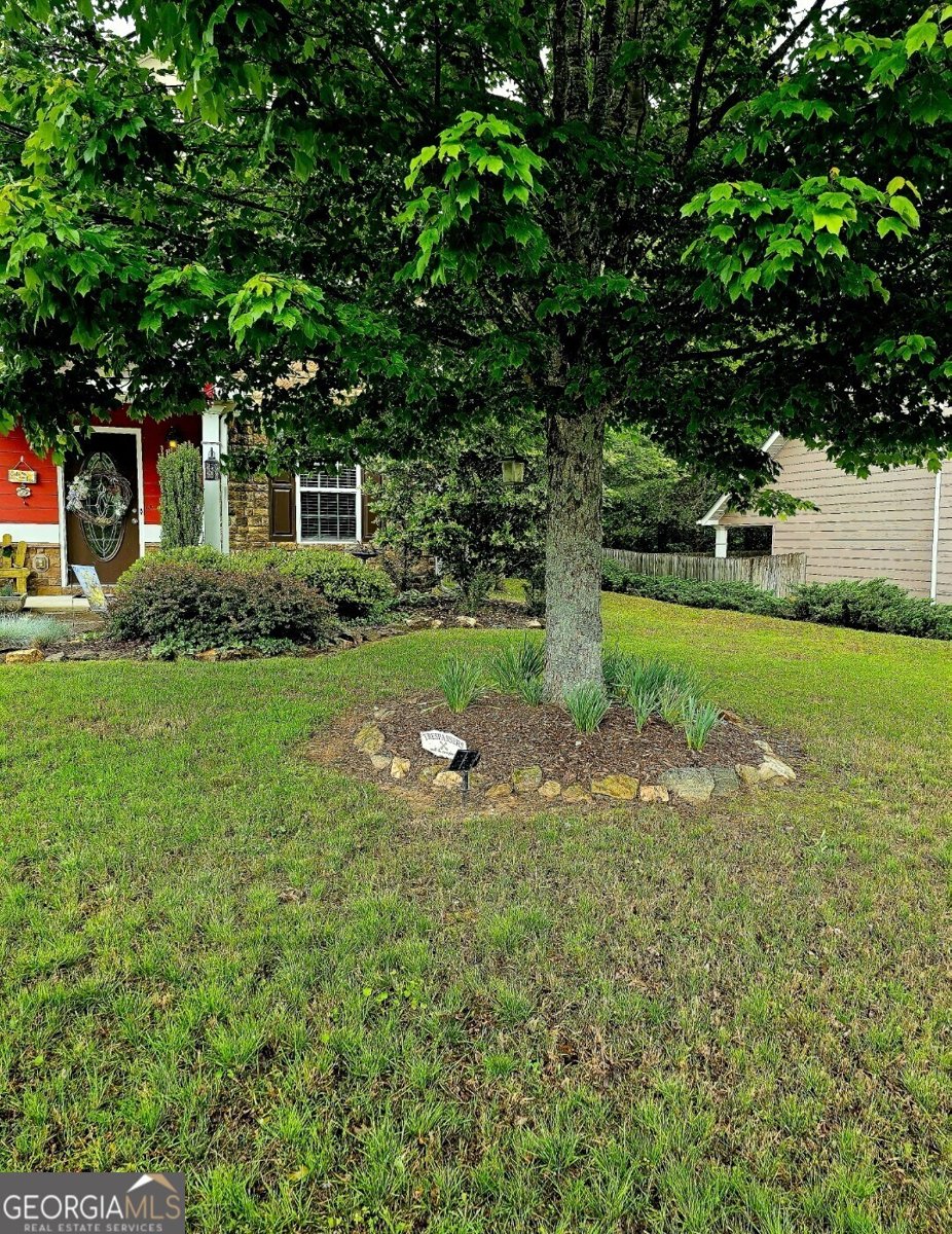 198 Red Hawk Drive Dawsonville - 7
