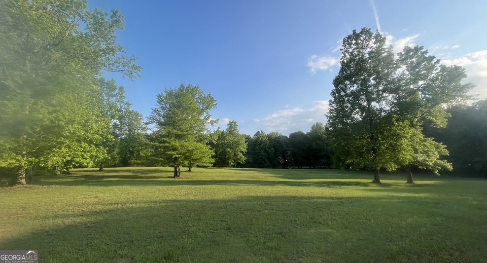95 Hunters Lane Newnan - 5