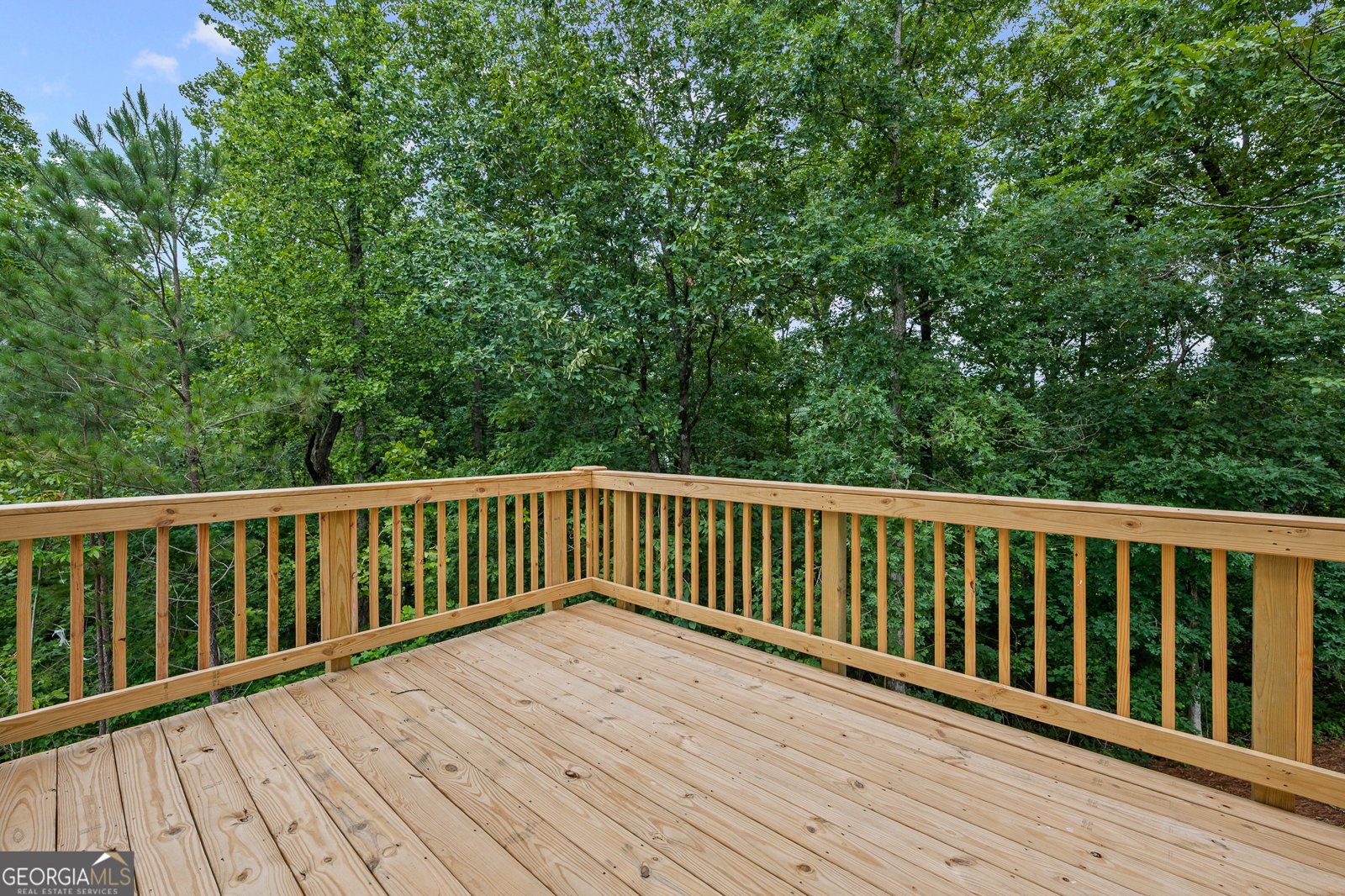 6402 Sycamore Drive Hoschton - 44