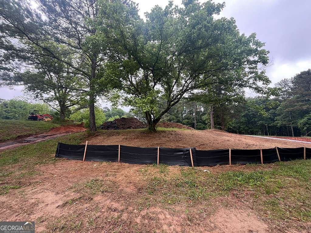 2226 Upper Burris Road Canton - 21