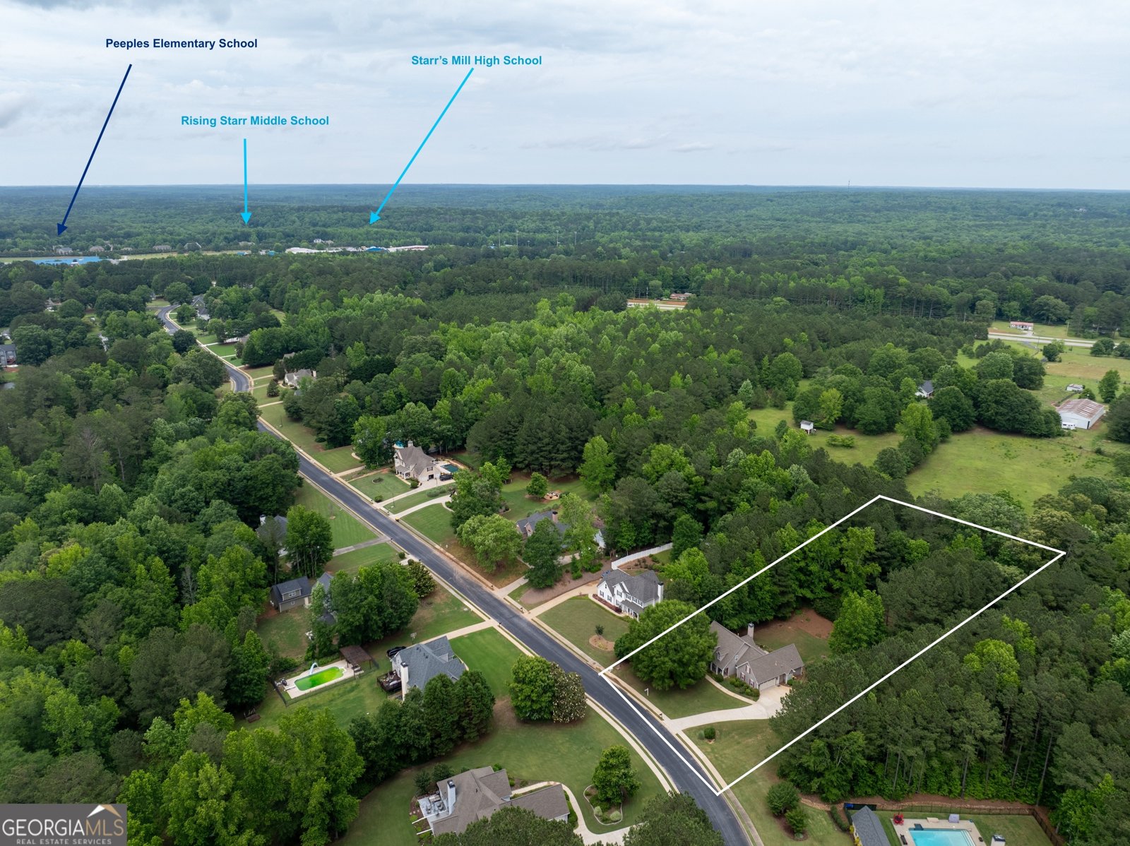 260 Brechin Drive Senoia - 2