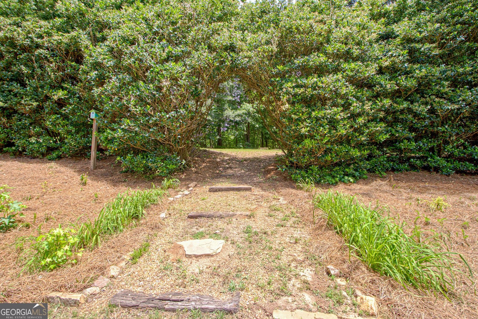 260 Brechin Drive Senoia - 46