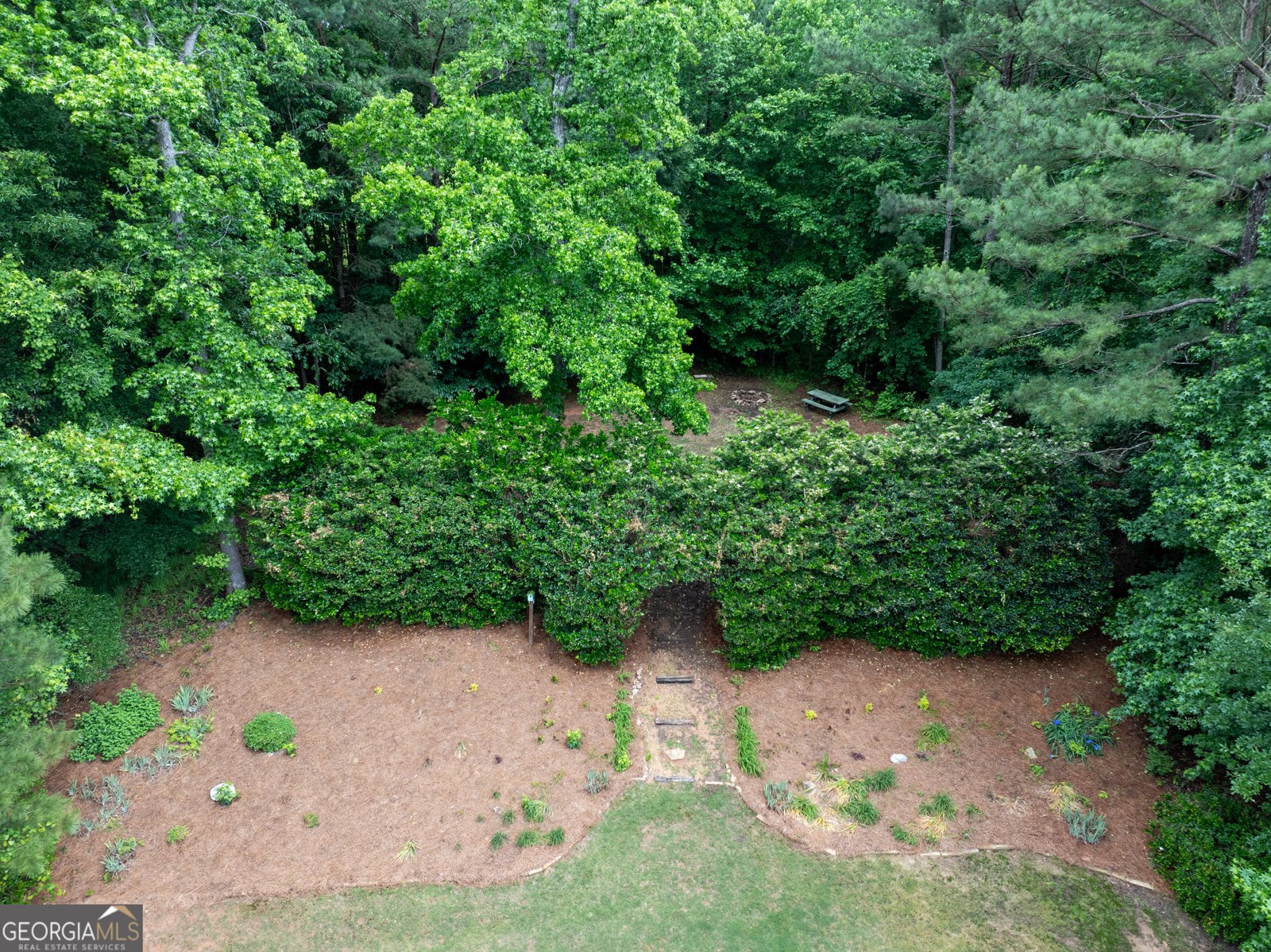 260 Brechin Drive Senoia - 47