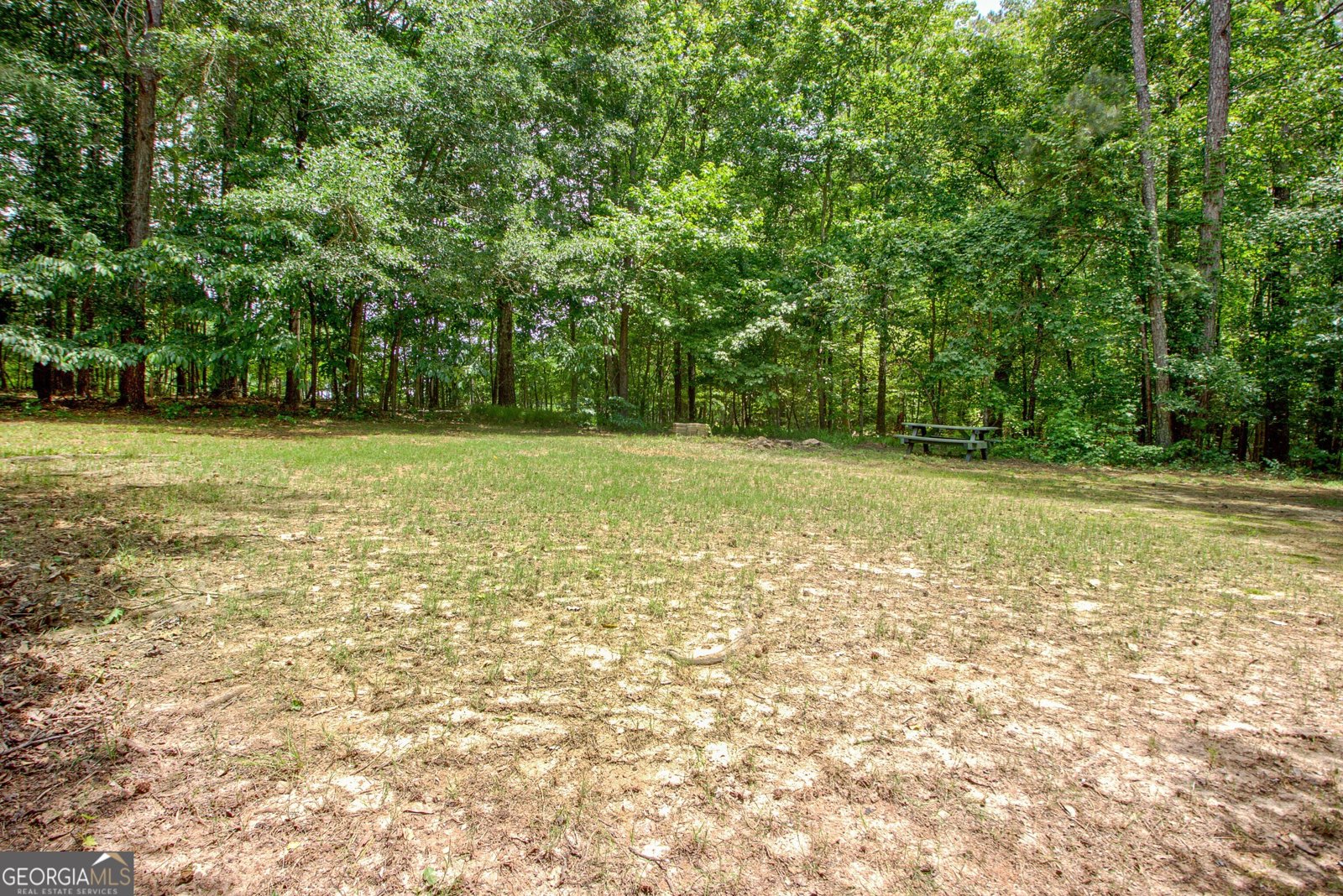 260 Brechin Drive Senoia - 48