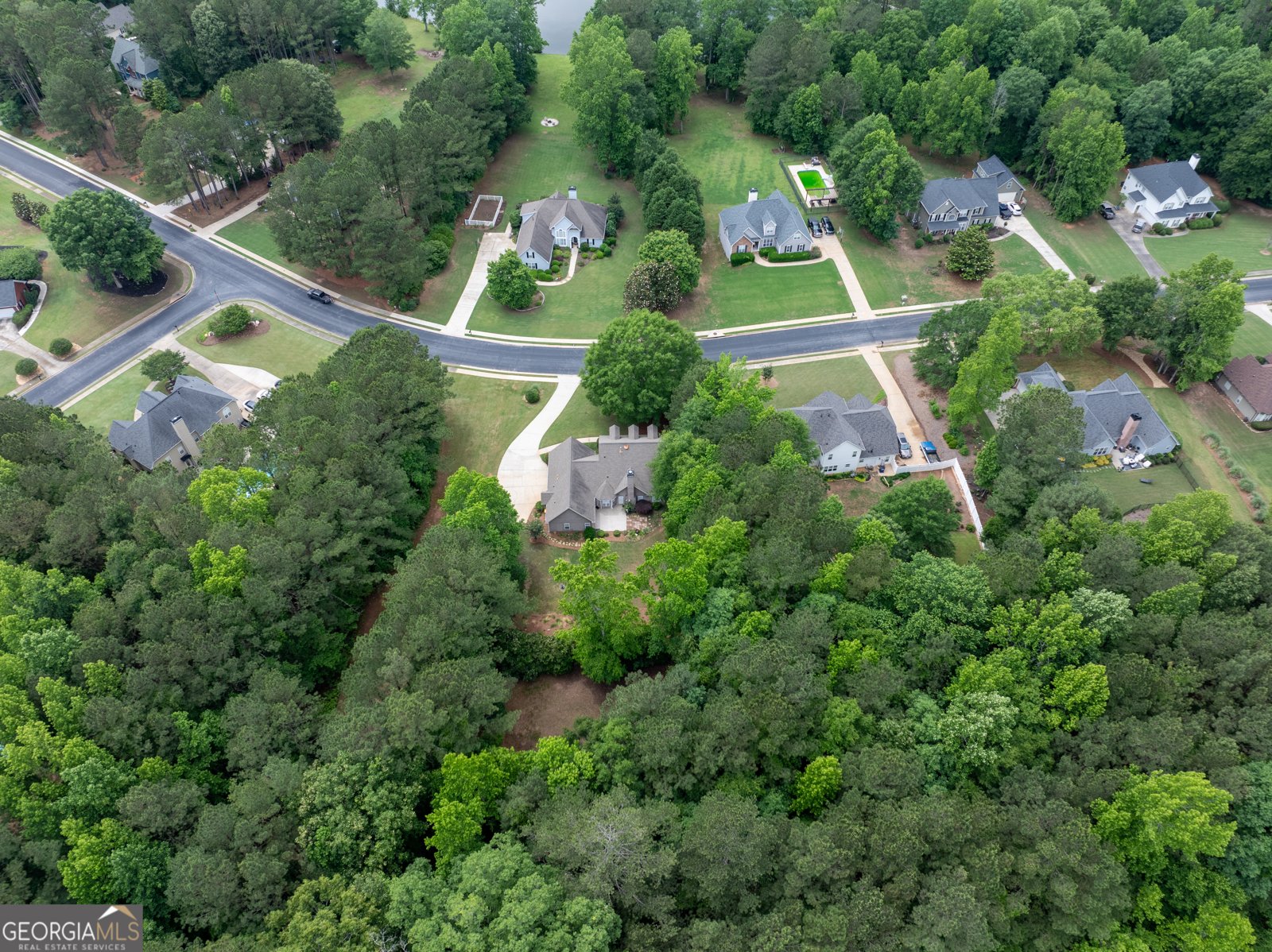 260 Brechin Drive Senoia - 49