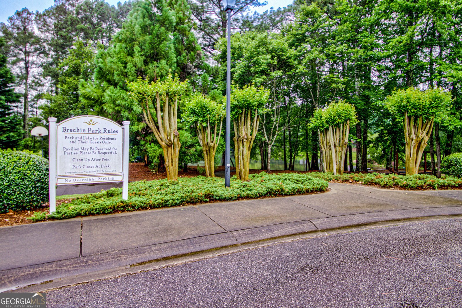 260 Brechin Drive Senoia - 54