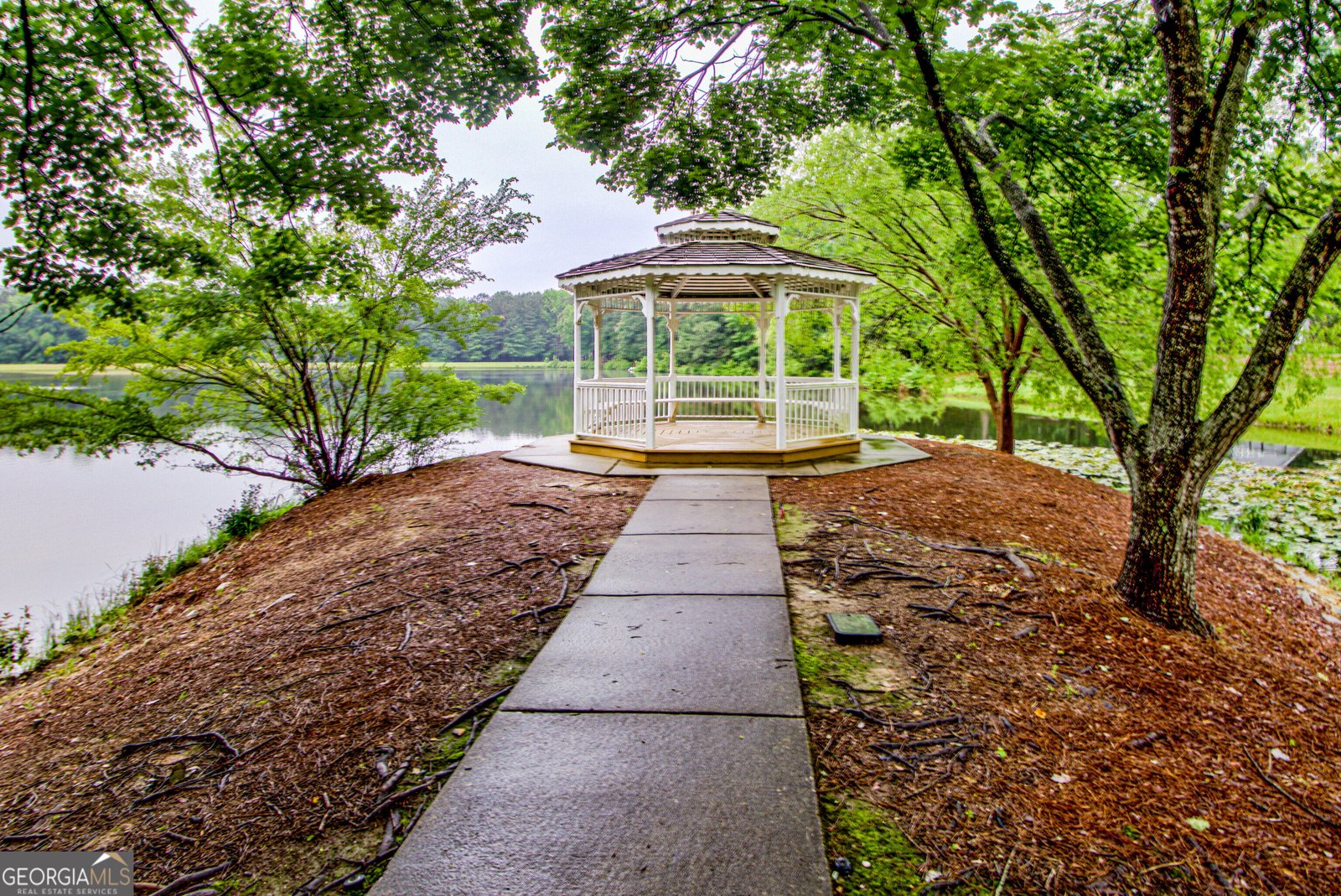 260 Brechin Drive Senoia - 56
