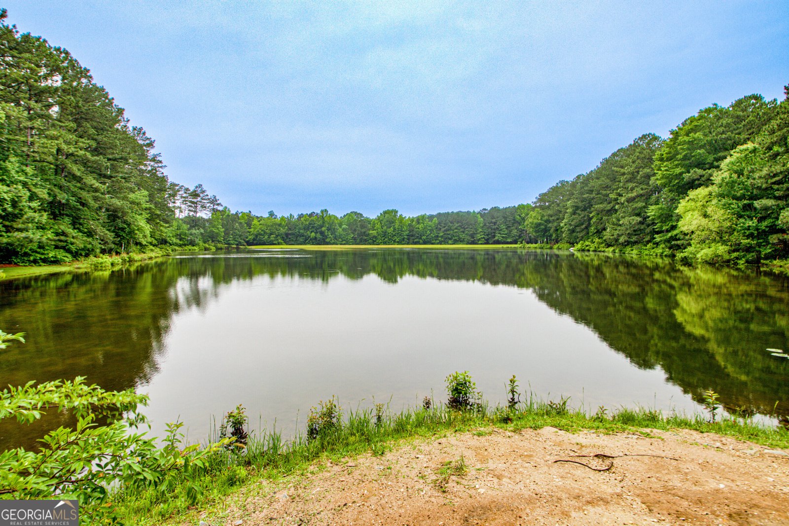 260 Brechin Drive Senoia - 57