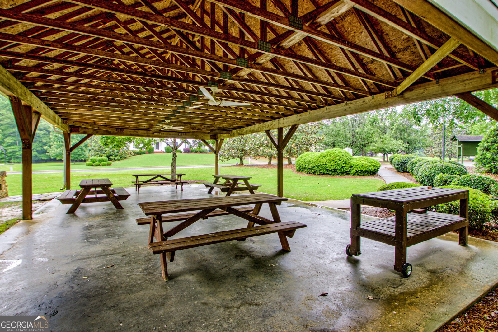 260 Brechin Drive Senoia - 58