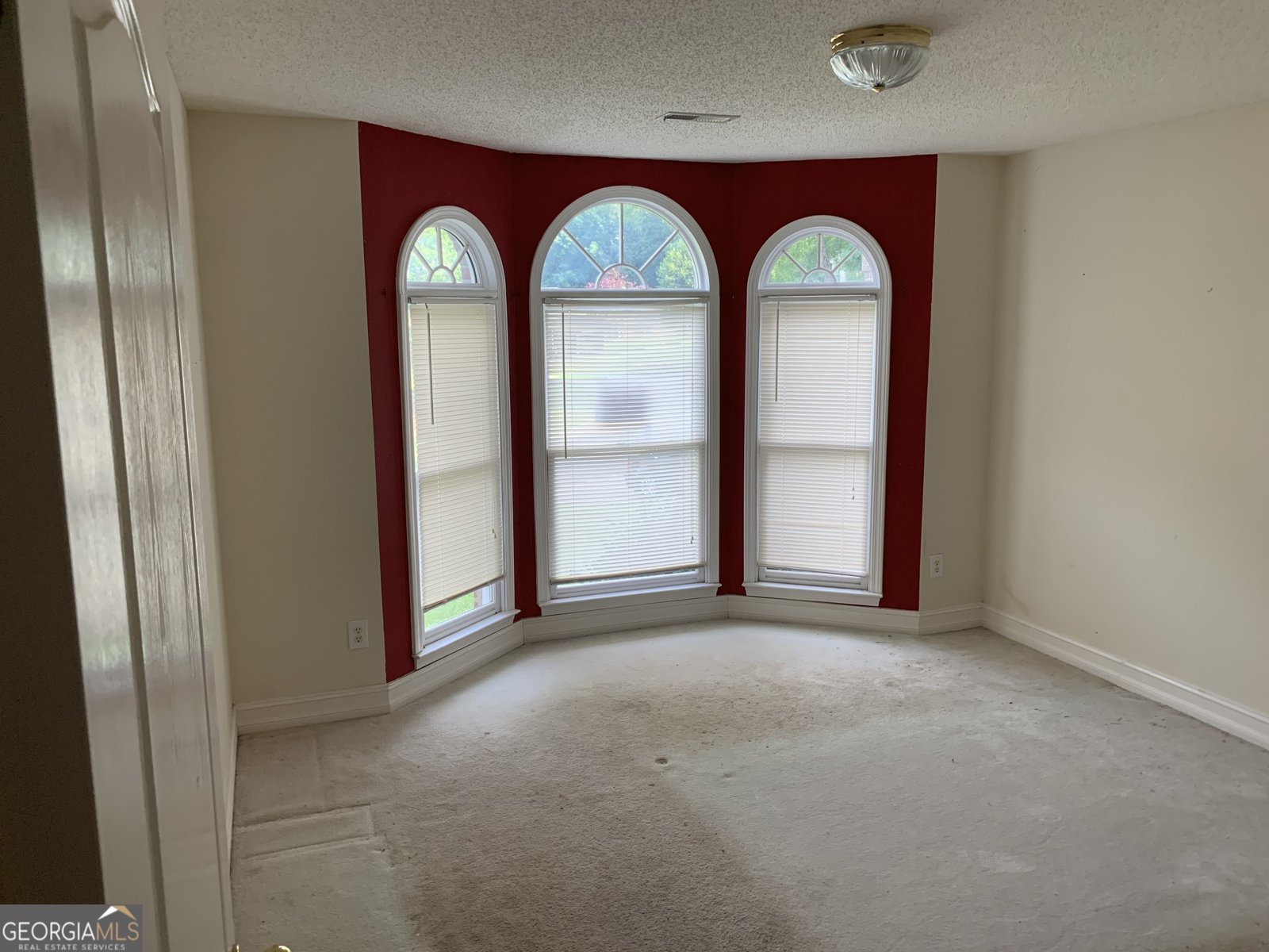 9160 Woodhaven Way McDonough - 3