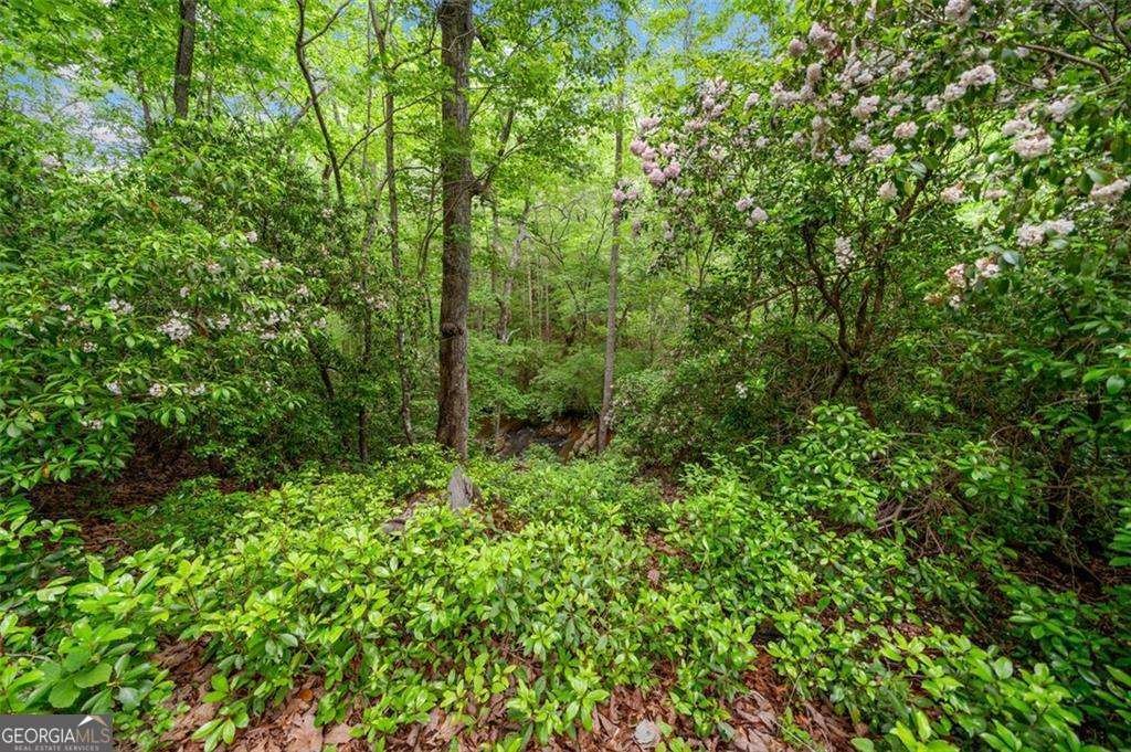 500 Nolan Road Carrollton - 7