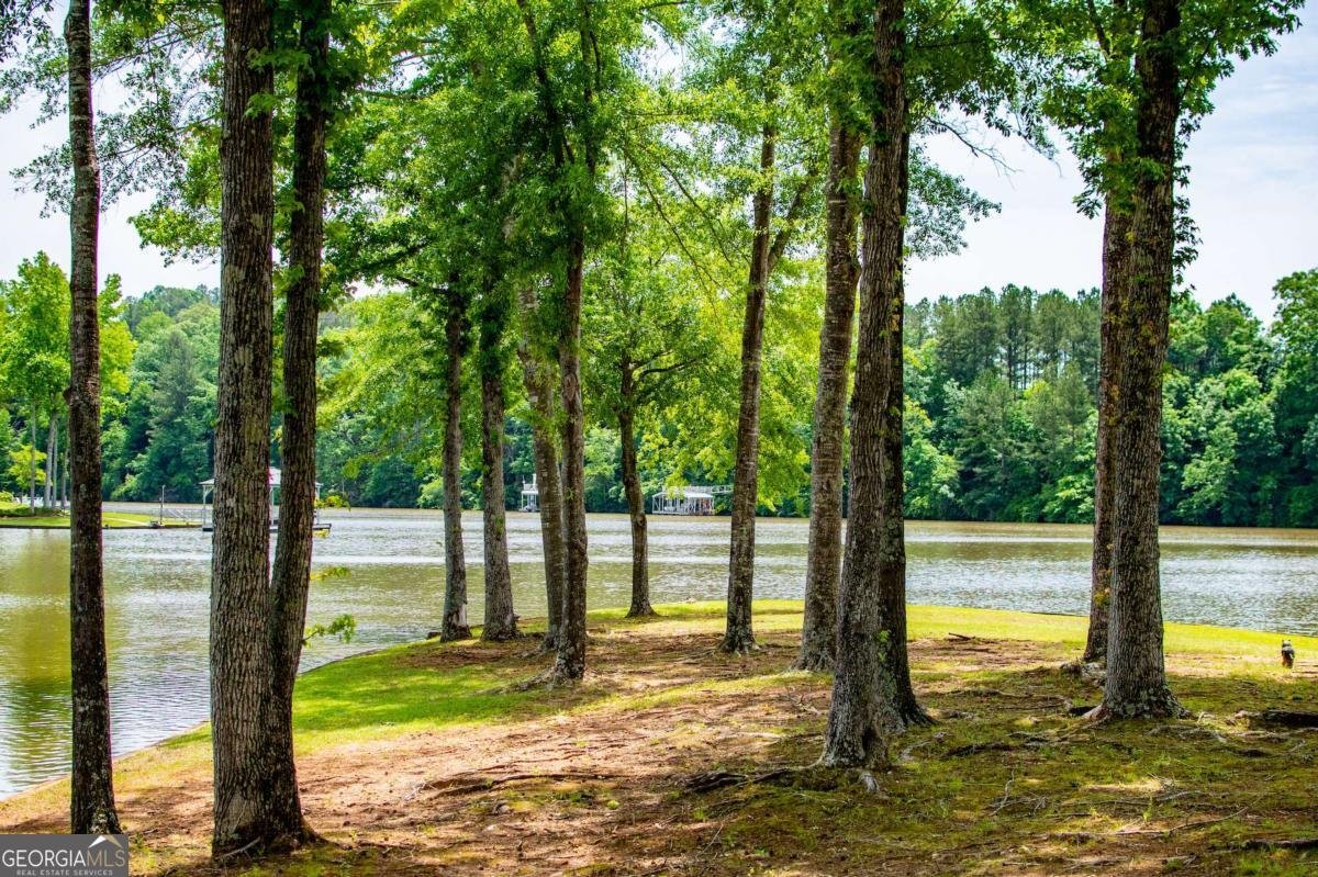 363 Poplar Place Wedowee - 97
