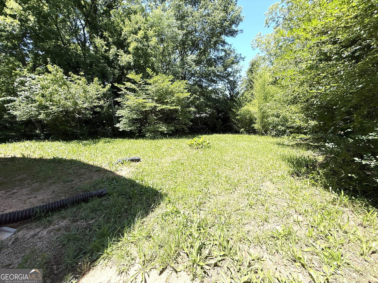 214 Evans Street Athens - 5