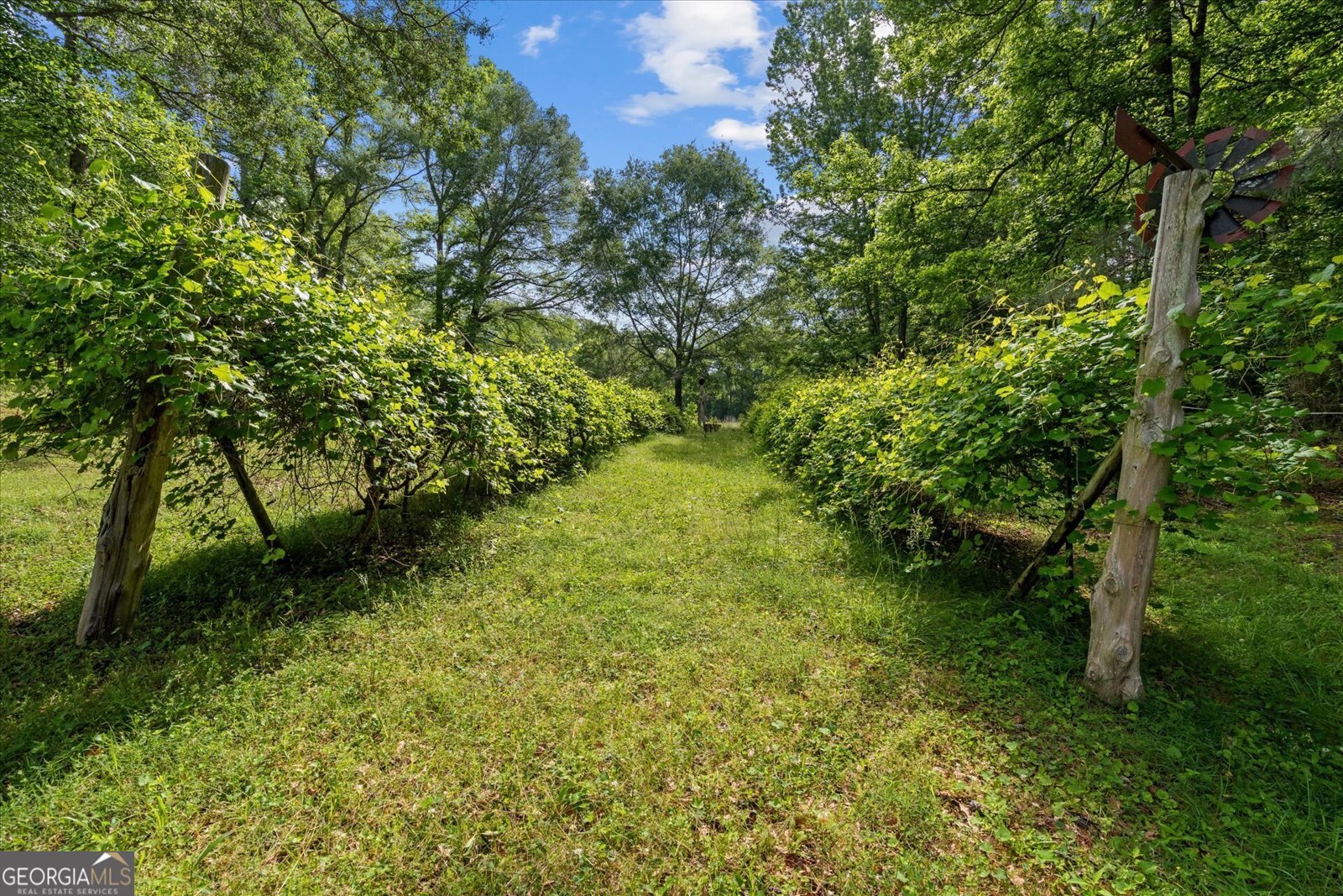 3633 River Road Franklin - 12