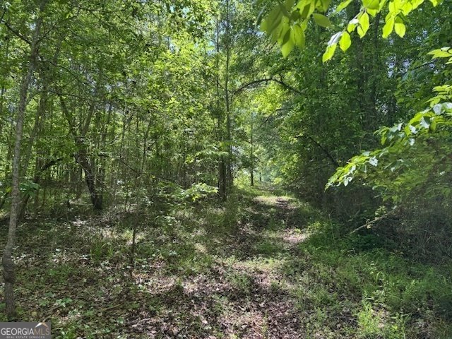 3633 River Road Franklin - 20